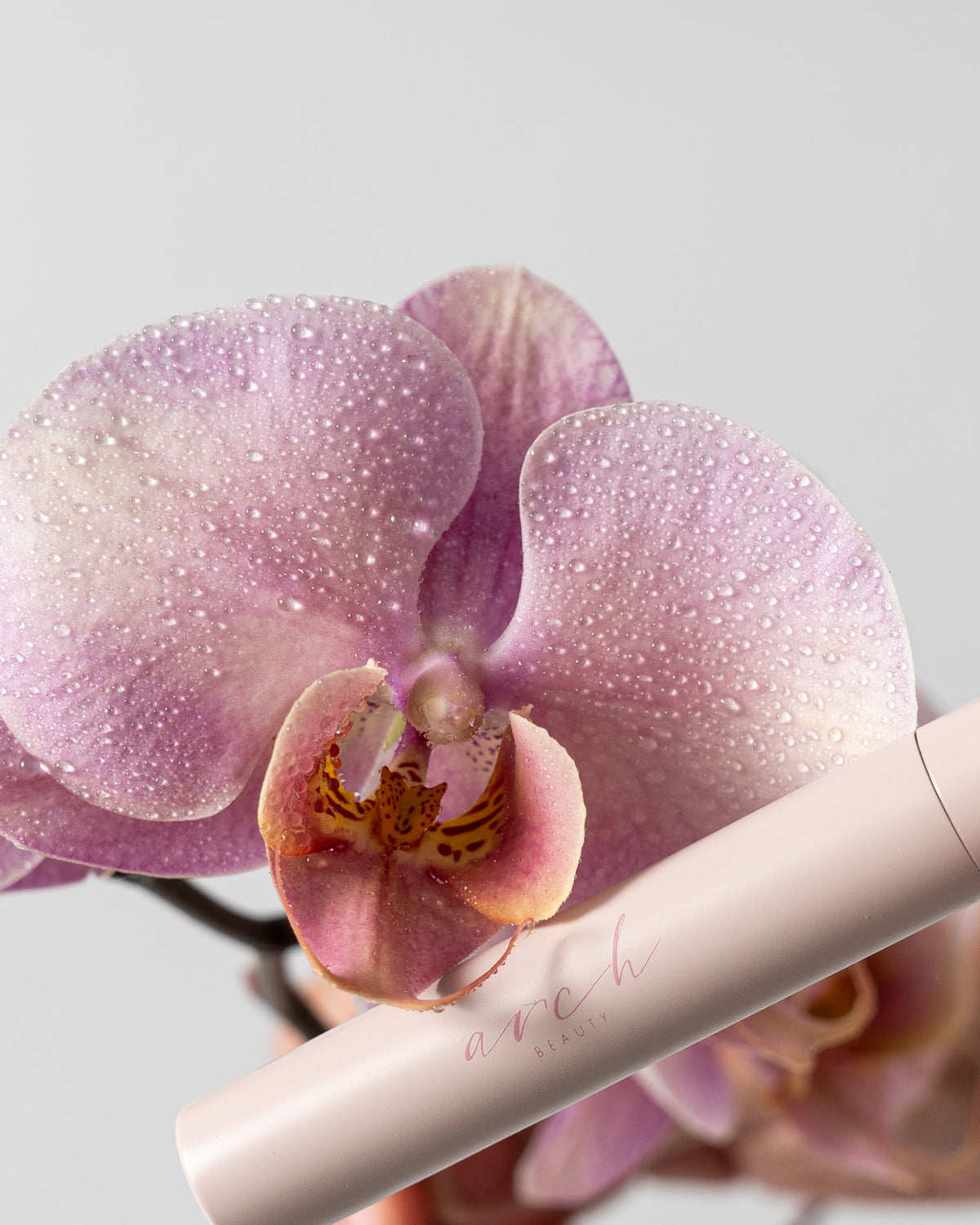 An orchid with the Arch Beauty serum
